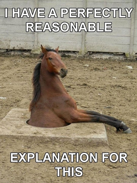 funny horse images 18 (1)