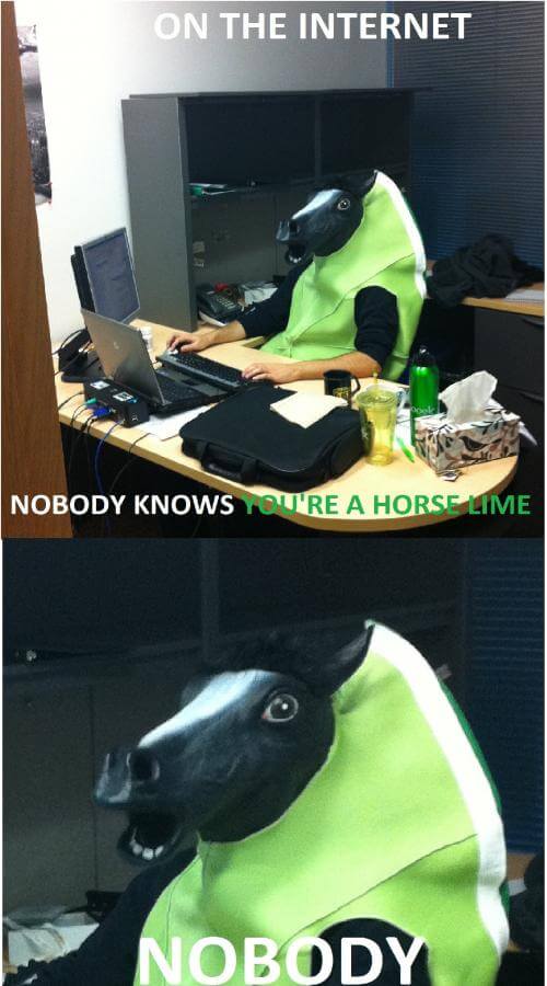 funny horse images 6 (1)