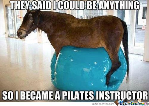 funny horse pictures 8 (1)