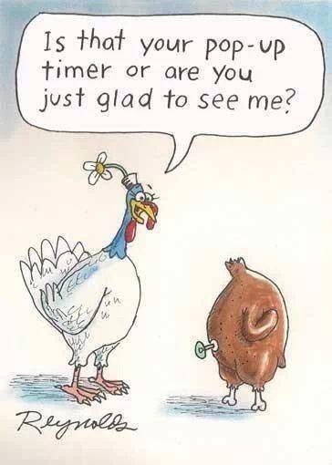 funniest thanksgiving images 12 (1)