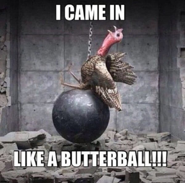 37 Funny Thanksgiving Pictures That Are So Funny You Can't Stop Smiling