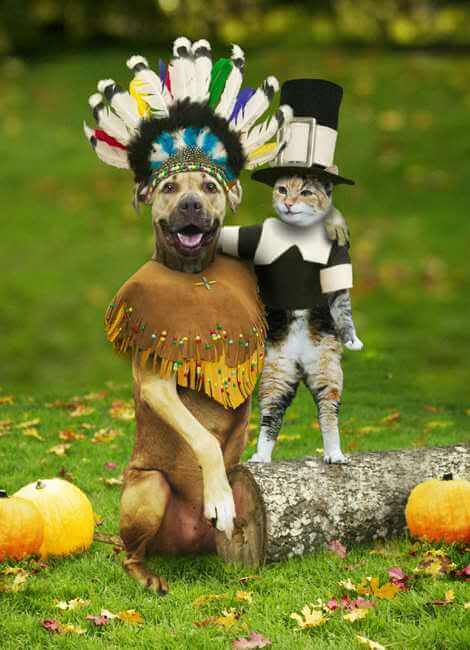 funniest thanksgiving pictures 3 (1)