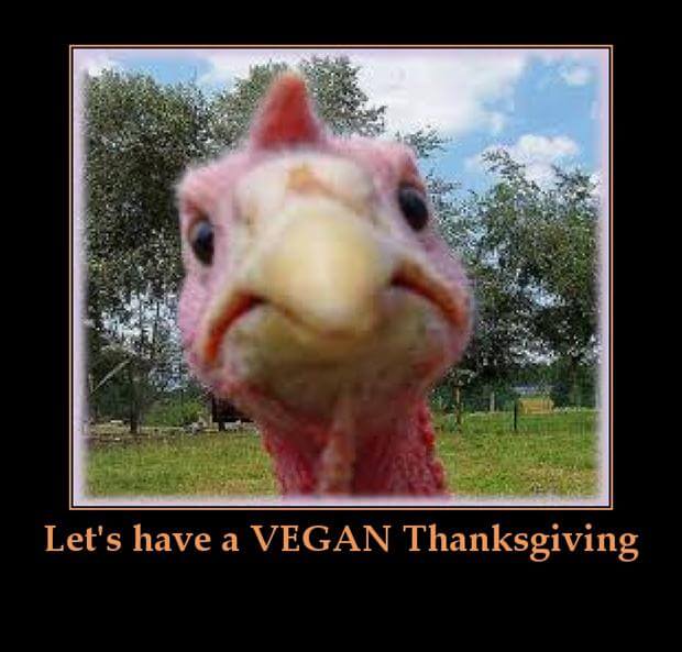 funny thanksgiving pictures 36 (1)