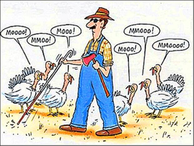 funny thanksgiving pictures 37 (1)