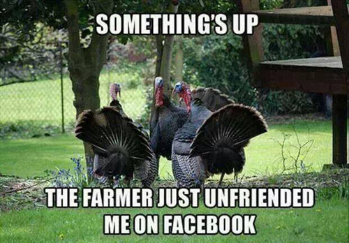 funniest thanksgiving pictures 7 (1)