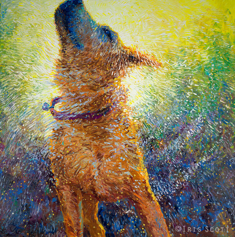 iris scott shaking dogs 7 (1)