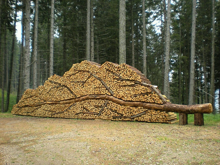 wood pile art 2