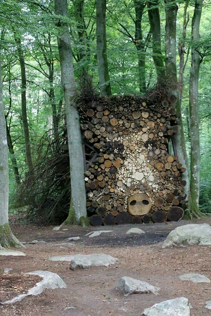 fire wood art