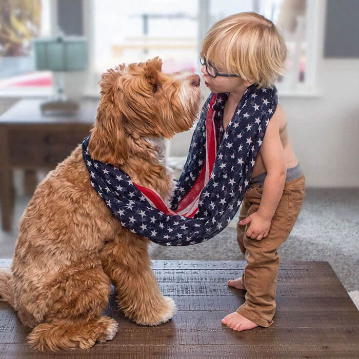 a boy and his dog 9 (1)