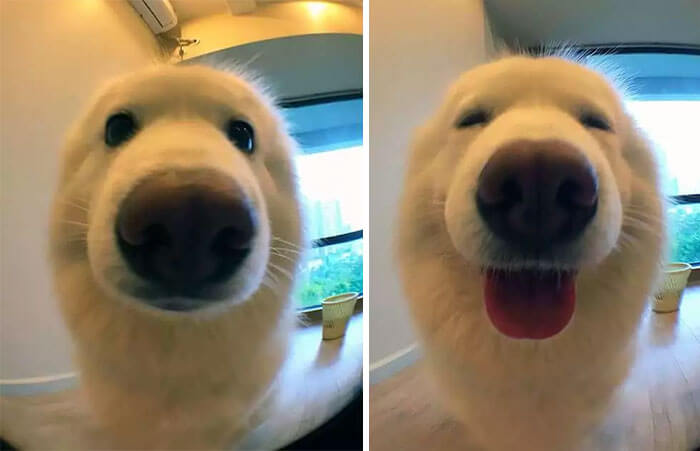 before after being called a good boy (1)