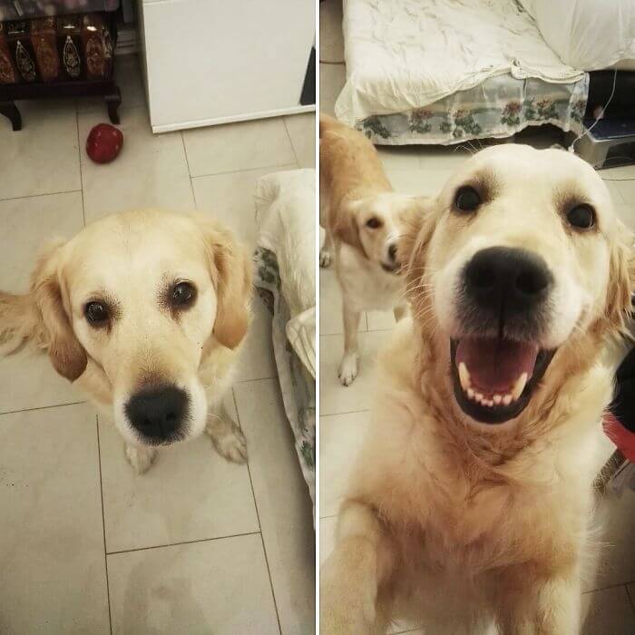 before after being called a good boy 12 (1)