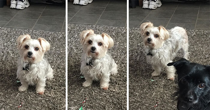 before after being called a good boy 20 (1)