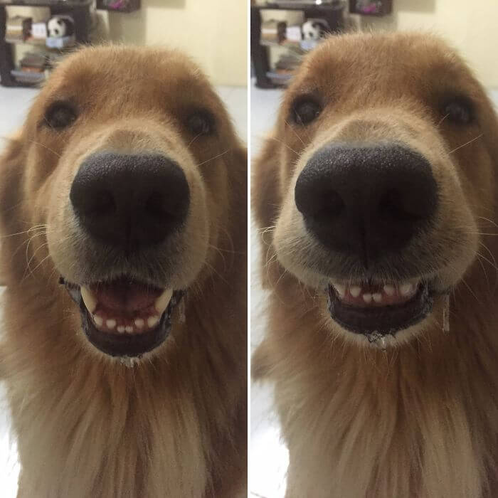 before after being called a good boy 21 (1)