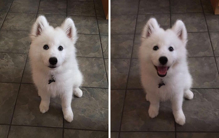 before after being called a good boy 3 (1)