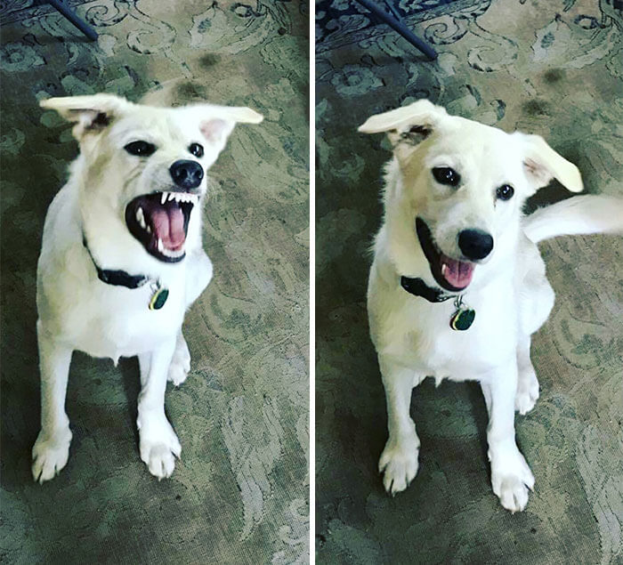 before after being called a good boy 6 (1)