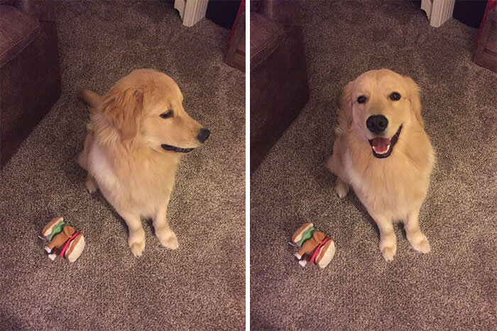 before after being called a good boy 8 (1)