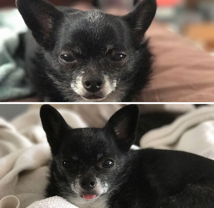 before after being called a good boy 9 (1)