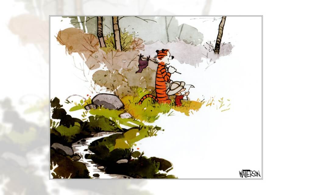 calvin and hobbes comics 11 (1)