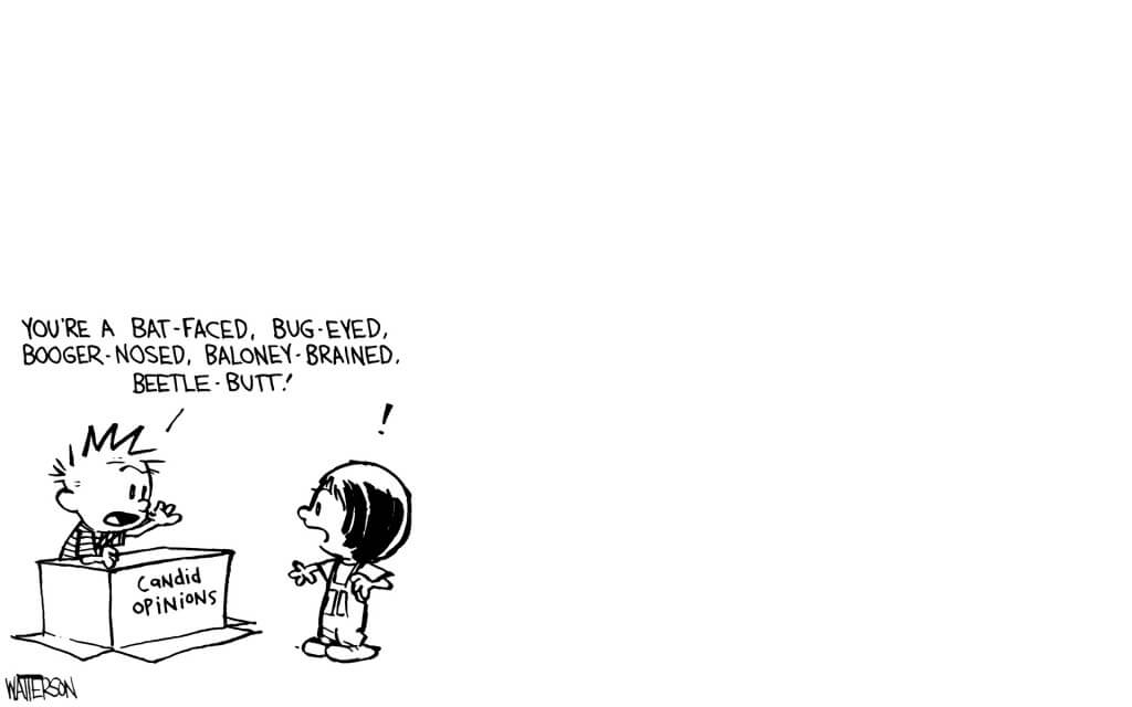 calvin and hobbes pictures 20 (1)