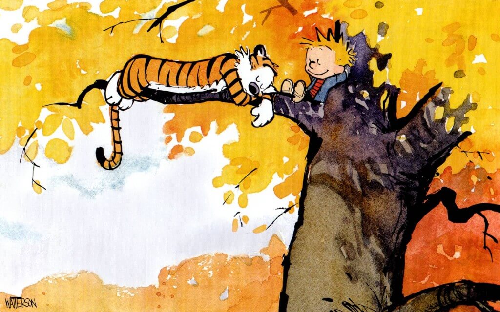 calvin and hobbes pictures 26 (1)