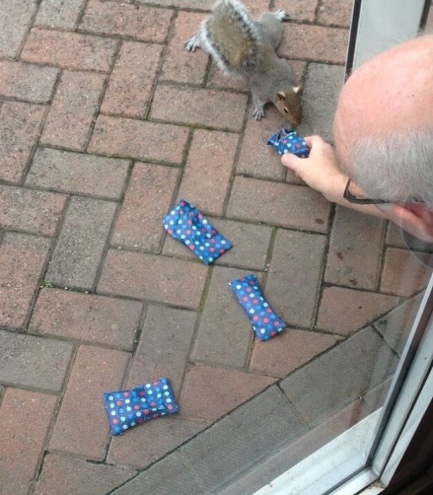 dad wraps christmas presents to squirrels 2 (1)