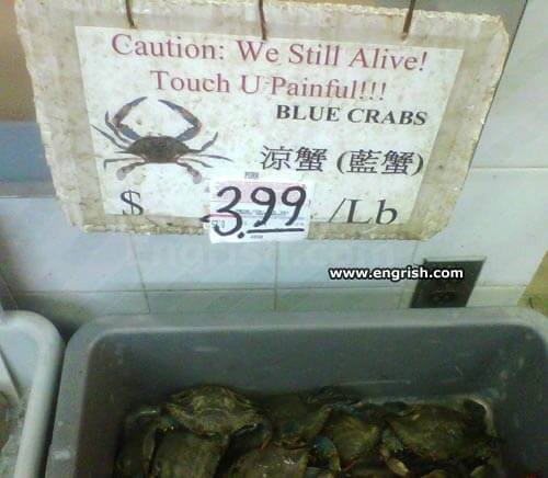 totally funny translations fails 32 (1)