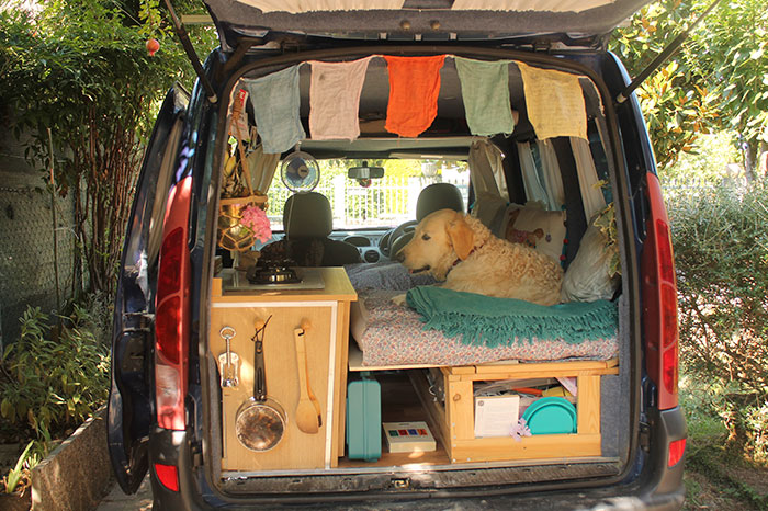 Marina Piro restors van travels with dog 11 (1)
