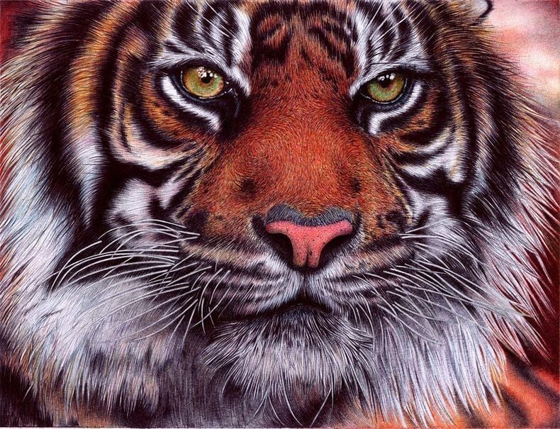 Stunning Photorealistic Ballpoint Pen Art By Samuel Silva