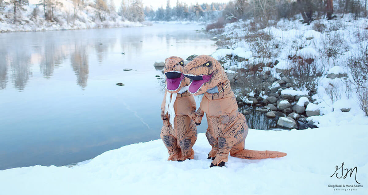 funny t rex photos 2 (1)