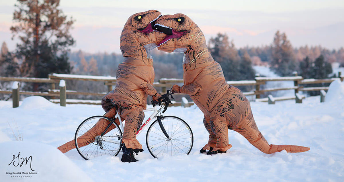 Funny T Rex Photos As Engagement Photo Series That Tries To Prove Love Isn T Extinct