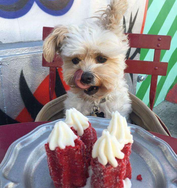 Popeye The Foodie Is The Cutest Food Porn Instagram ... - 700 x 742 jpeg 61kB