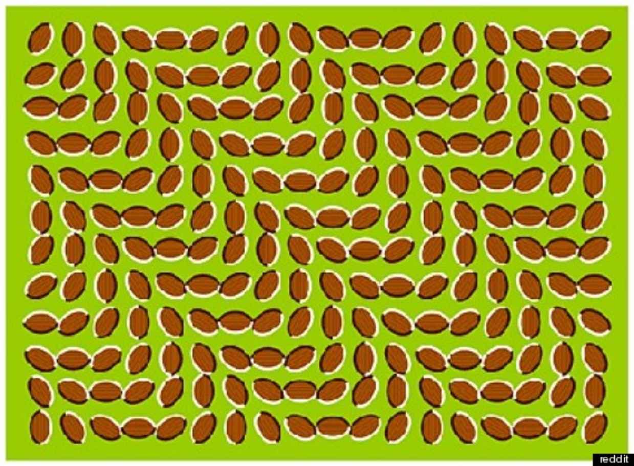 optical illusions 2