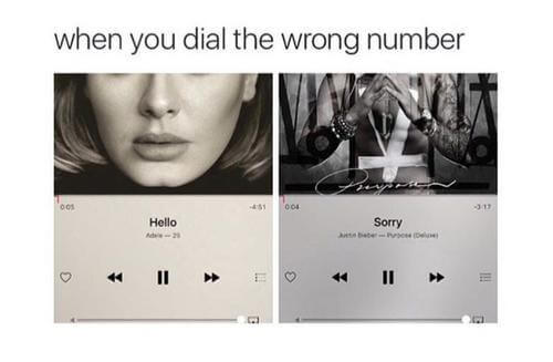 adele memes 15 (1)