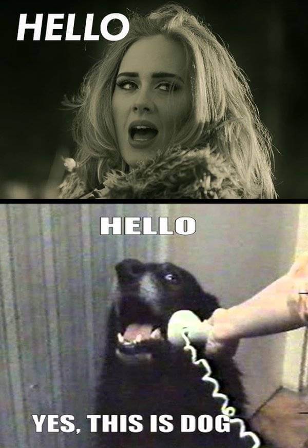 28 Adele Hello Meme Pictures Because You Really Didn T Hear That Song Enough Today