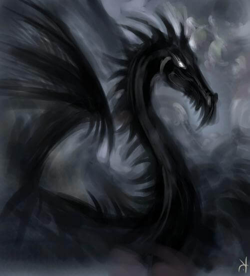 amazing dragons 6 (1)