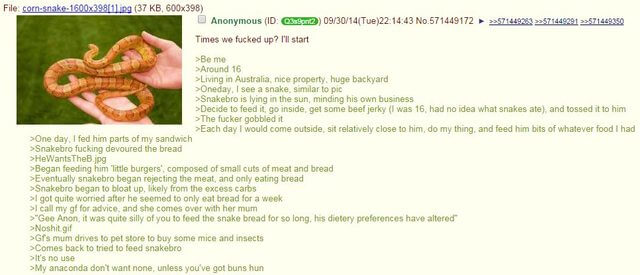 The 46 Best Of 4chan Threads You Never Knew You Needed To See