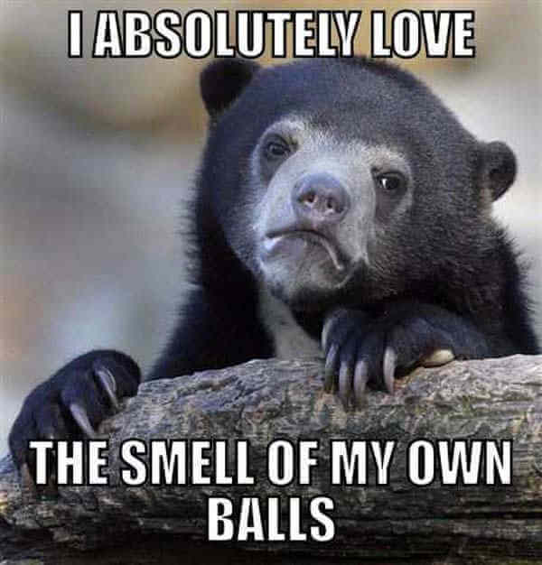 35 Of The Best Confession Bear Meme Pictures That Will Make You Want To 