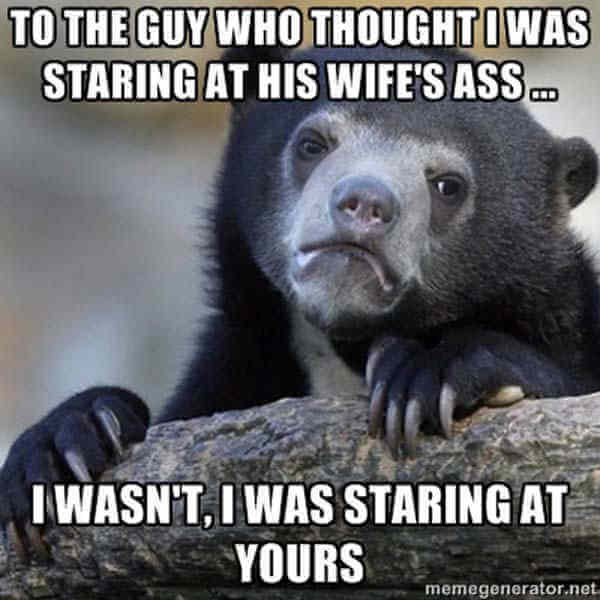 confession bear pics 4 (1)