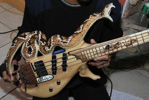 amazing guitars 2 (1)