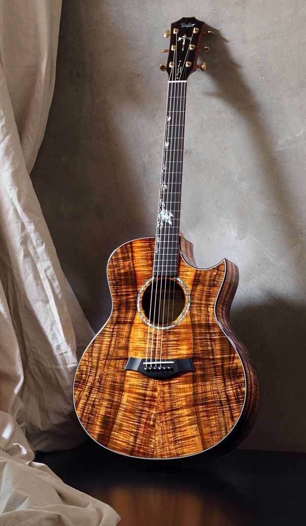 incredible guitars 25 (1)