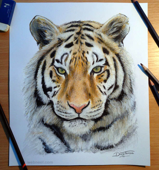 26 Stunning drawings of animals Made From Pencil And Paper