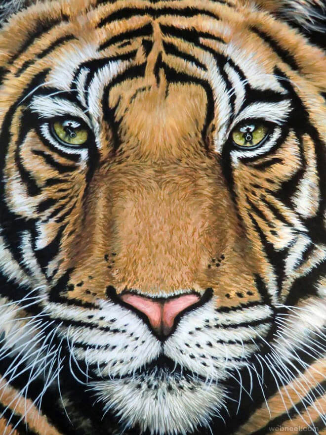 realistic drawings of animals in color