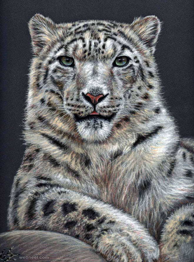 26 Stunning drawings of animals Made From Pencil And Paper