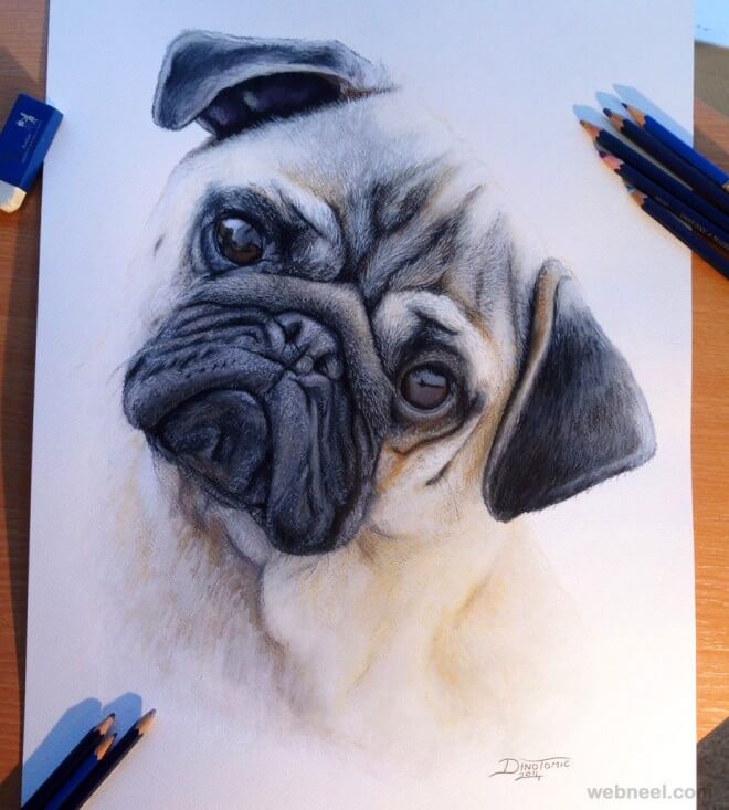 26 Stunning drawings of animals Made From Pencil And Paper