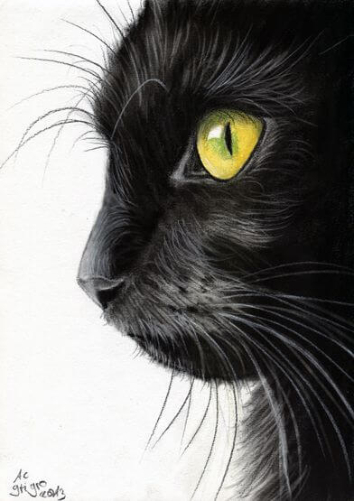 26 Stunning drawings of animals Made From Pencil And Paper