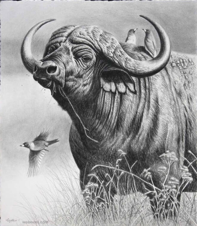 26 Stunning drawings of animals Made From Pencil And Paper