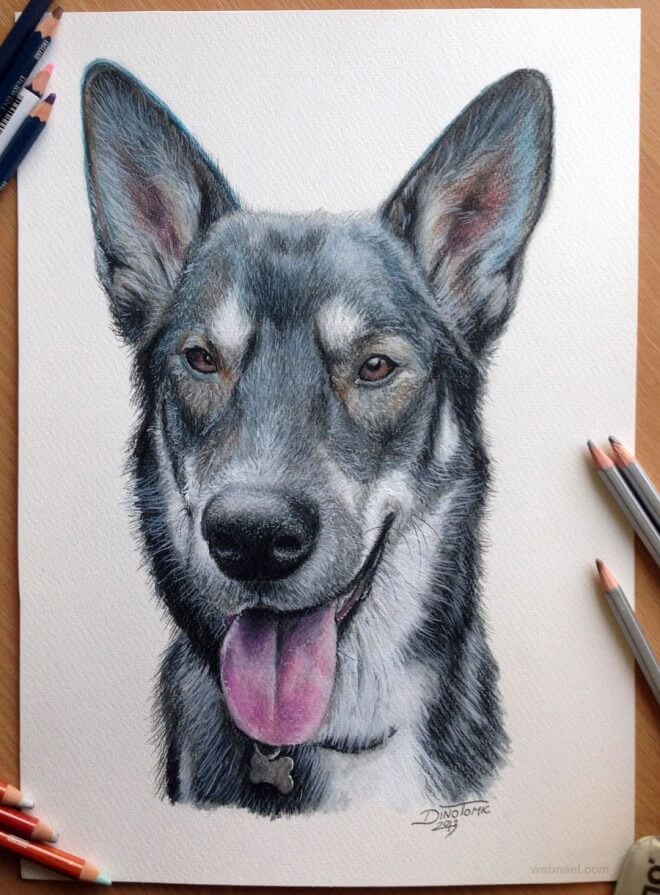 26 Stunning drawings of animals Made From Pencil And Paper