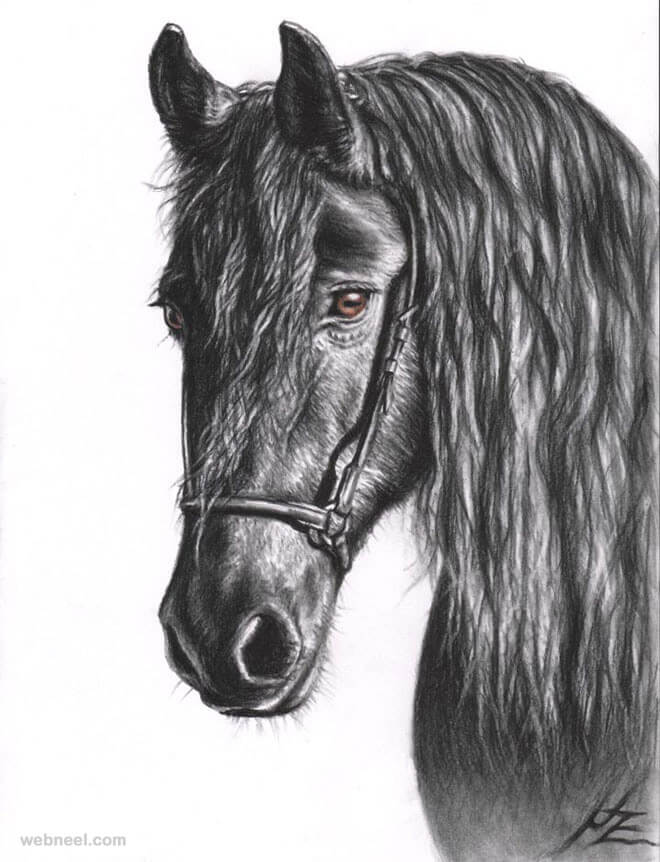 26 Stunning drawings of animals Made From Pencil And Paper