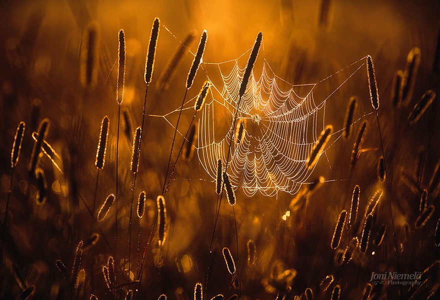 58 Beautiful Fall Pictures That Will Inspire You To Become a Photographer