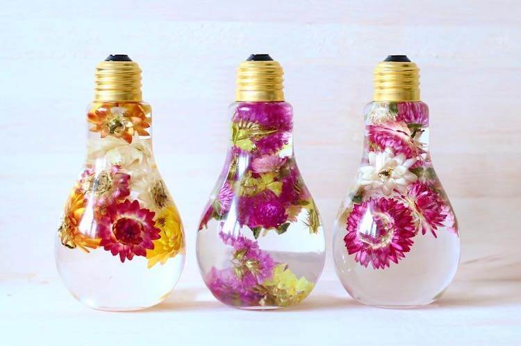 Beautiful Flowers Inside Light Bulbs Suspended In Time Look Like Luxury ...